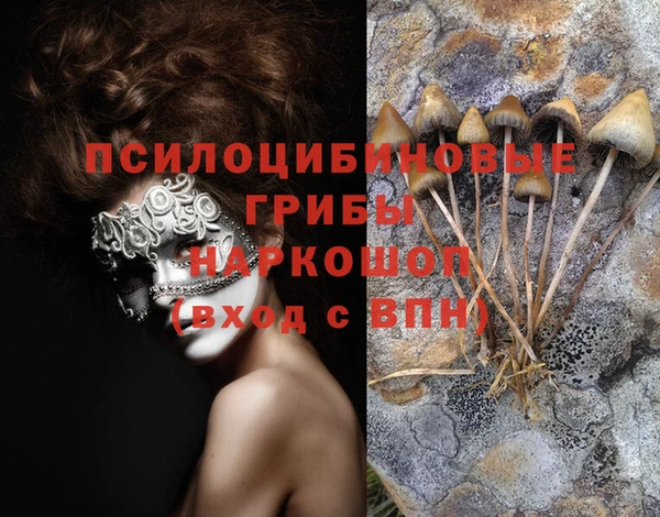 стафф Абинск