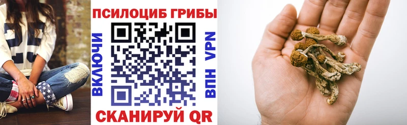 mega ССЫЛКА  купить наркотики сайты  Аксай  Псилоцибиновые грибы мицелий 